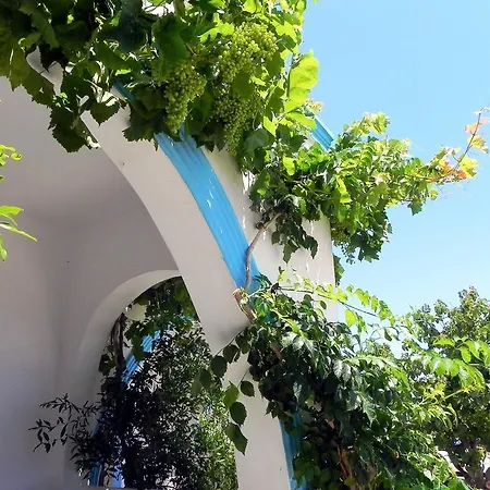 Mihalis Studios